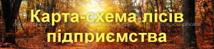 bannerkmlis